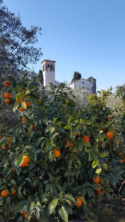 Casolare Al Dopolavoro Villa Lucca Dış mekan fotoğraf