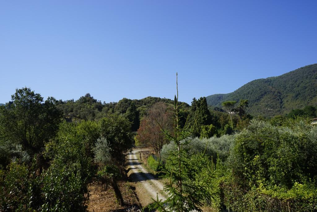 Casolare Al Dopolavoro Villa Lucca Dış mekan fotoğraf