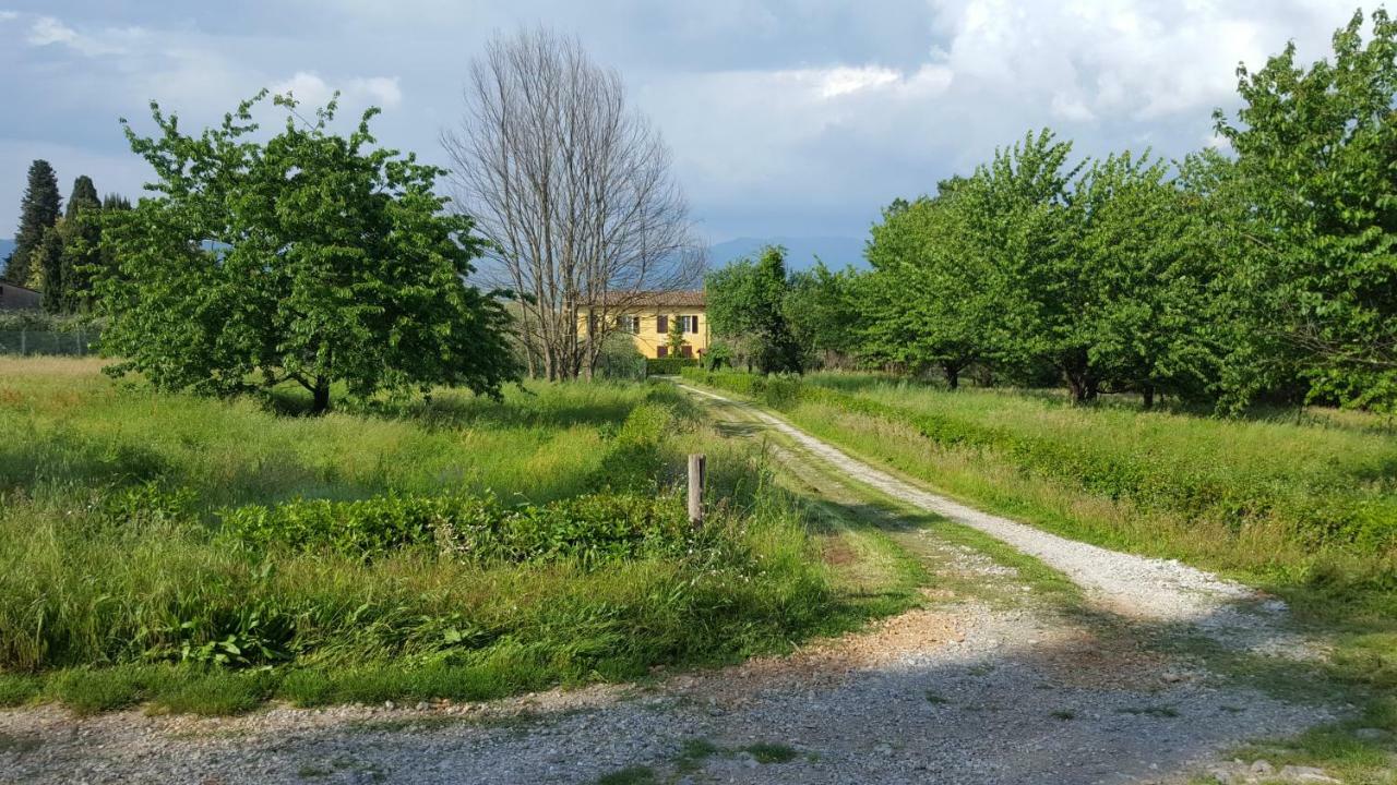 Casolare Al Dopolavoro Villa Lucca Dış mekan fotoğraf