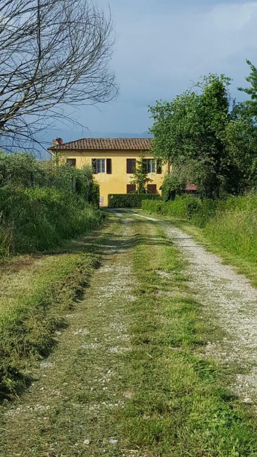 Casolare Al Dopolavoro Villa Lucca Dış mekan fotoğraf